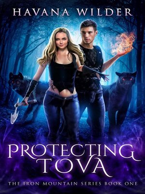 Protecting Tova - ebook